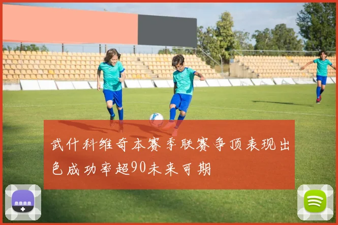 武什科维奇本赛季联赛争顶表现出色成功率超90未来可期