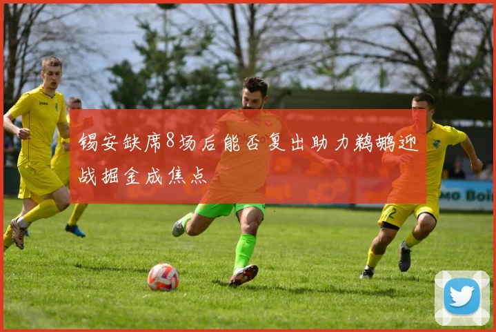 锡安缺席8场后能否复出助力鹈鹕迎战掘金成焦点