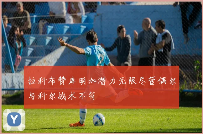 拉科布赞库明加潜力无限尽管偶尔与科尔战术不符